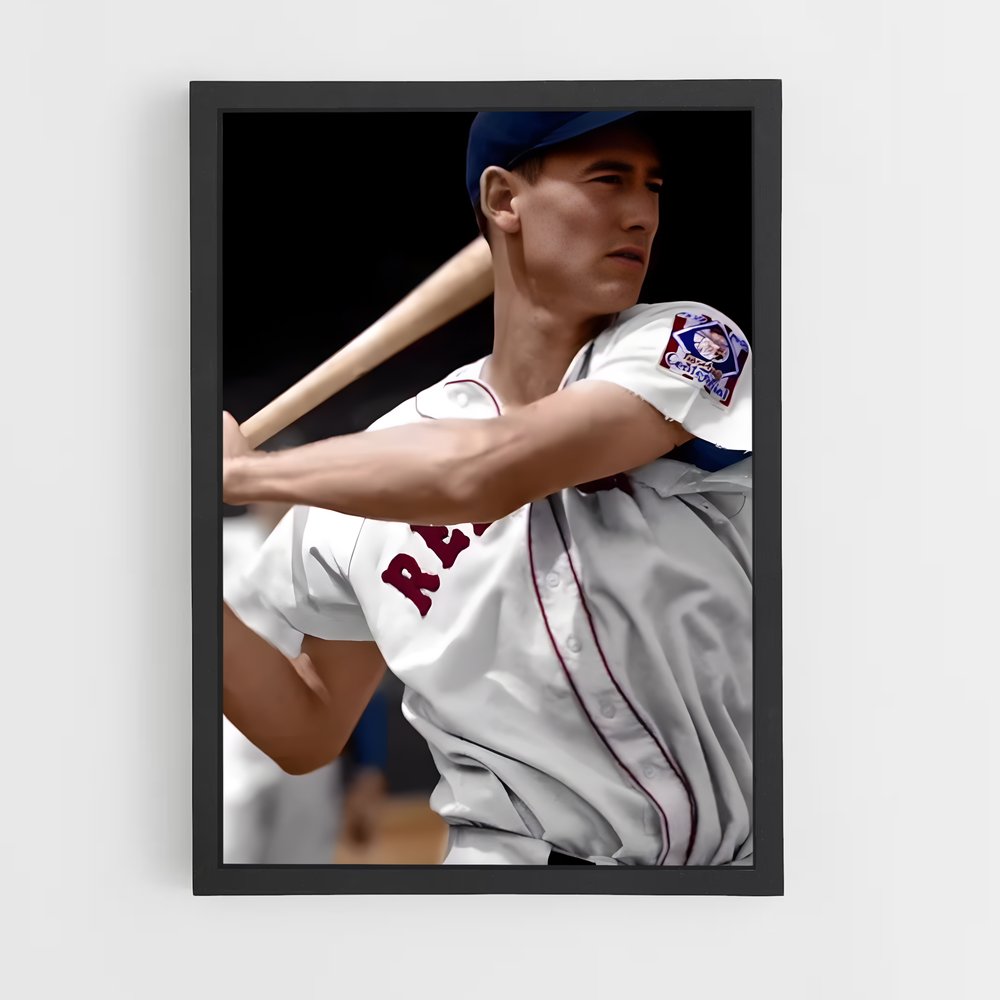 Poster Ted williams – affiche Baseball (vue 2)